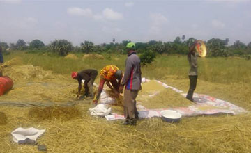 Erowha Umeh in Isoko